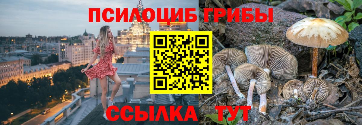 Галлюциногенные грибы мицелий  Вход с VPN  Псилоцибиновые грибы мицелий  Еманжелинск 