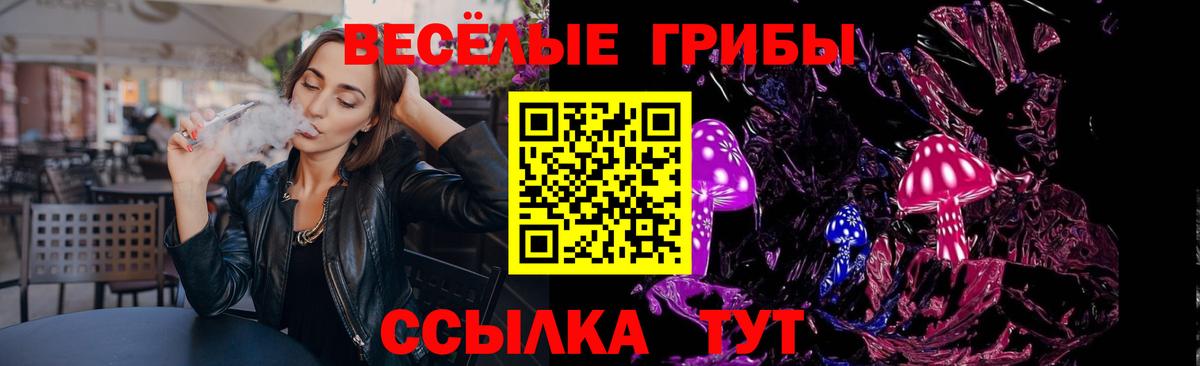 Псилоцибиновые грибы мицелий Еманжелинск